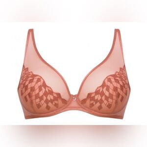 NWT Sexy Sheer Unlined Underwire Lingerie